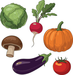Isolated a kinds of deferent Vegetables and greens set. Cabbage, radish, pumpkin, mushroom, eggplant, tomato assortment collection. Harvesting concept. vector art with white background..