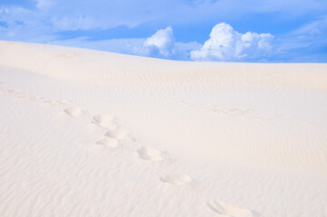 footprints in the sand