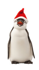 Obraz premium Smiling Penguin Wearing Red Christmas Hat, Sitting Upright, Isolated on Transparent Background, Joyful Holiday Winter Celebration Concept