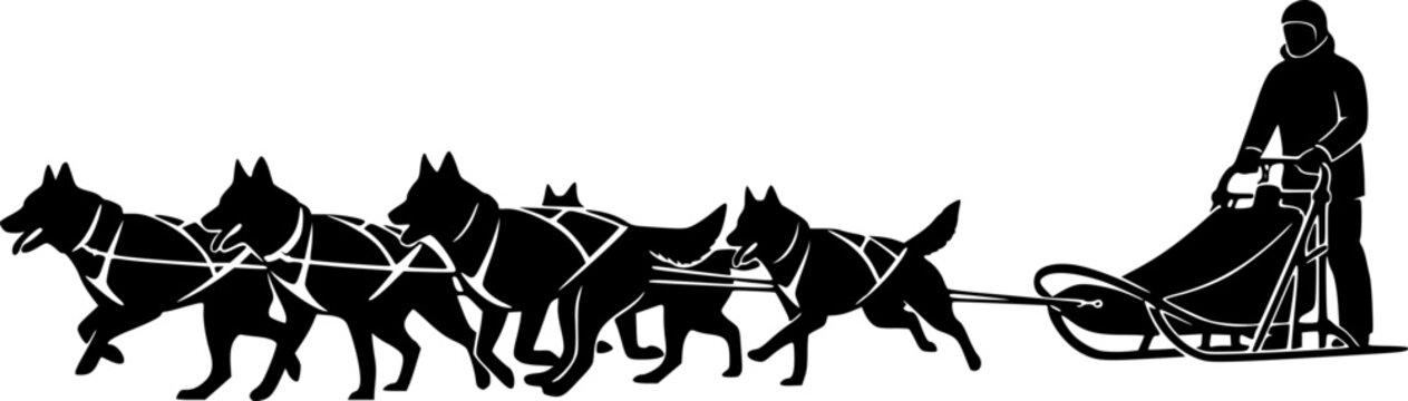 Dog sled silhouette. This image portrays a team of dogs pulling a sled, also referred to as dog mushing or sled racing. Vector clipart black illustration design.