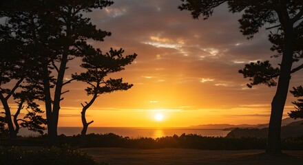 Dramatic sunset over ocean with silhouetted trees against a golden sky