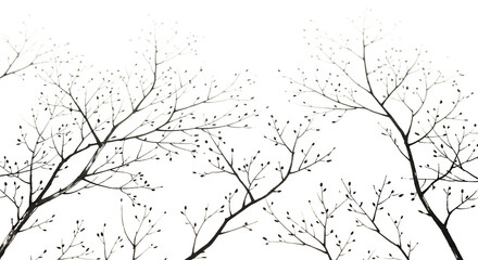 Fototapeta premium Detailed silhouette of bare tree branches against a stark black sky isolated on white background