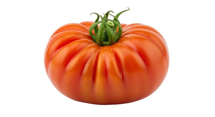 Isolated large beefsteak tomato with green stem, ripe and plump, ready for slicing.