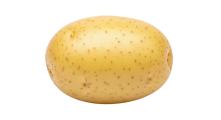 Isolated potato tuber with many eyes, food photography in the studio. Diet staple