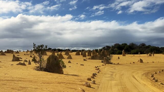 Scattered rock structures rise from golden sand in the Pinnacles Desert in Western Australia