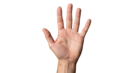 Isolated human hand raised upward with the fingers extended showing the number five hand