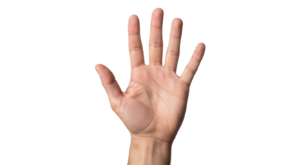 Isolated human hand raised upward with the fingers extended showing the number five hand