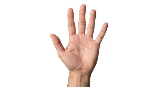 Isolated human hand raised upward with the fingers extended showing the number five hand