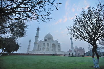 Scenic view of Taj Mahal through green garden.
