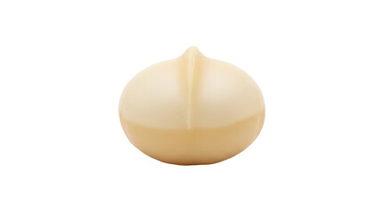 Isolated, whole macadamia nut with a glossy texture and creamy, yellowish color, ready to eat