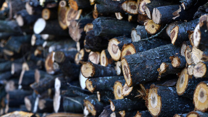 Firewood close-up. Preparing firewood for the winter, preparing for the heating season. tree trunks in nature. many cut tree trunks. Front view. Natural background.