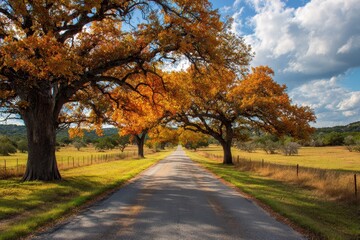 Naklejka premium Fredericksburg Texas. Farm Road Surrounded by Autumn Trees in Texas Landscape