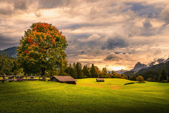 Alps, Mountain lake, Mountains, Lake, Wagenbr&uuml;chsee, Barmsee, Geroldsee, Germany, Kr&uuml;n, Bavaria