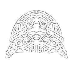 Detailed line art drawing of a tortoise shell pattern front view clean minimalist outline artistic silhouette