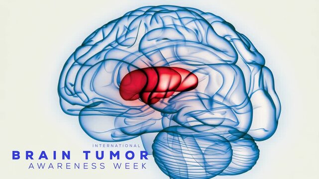 International Brain Tumor Awareness Week. Brain Tumor animation. Brain Tumor Awareness Campaign.
