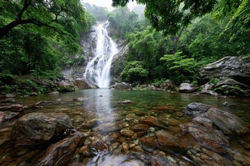 Fototapeta premium Tranquil Waterfall in Lush Green Rainforest Landscape