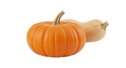 Isolated Thanksgiving arrangement with pumpkin and butternut squash on neutral backdrop