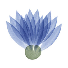 A vector illustration showcases a single blue lotus flower with a green base, rendered in a delicate watercolor style, suitable for environmental conservation infographics.