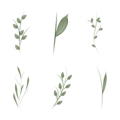 A set of six watercolor illustrations depict delicate flower stems and leaves. These are provided as a vector set, perfect for use in conservation and environmental themed designs.
