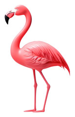 Fototapeta premium PNG Flamingo animal bird spoonbill.