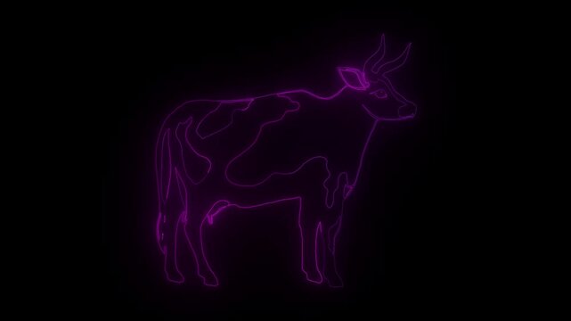 Abstract neon outline of a holstein cow with pink glow against a black background