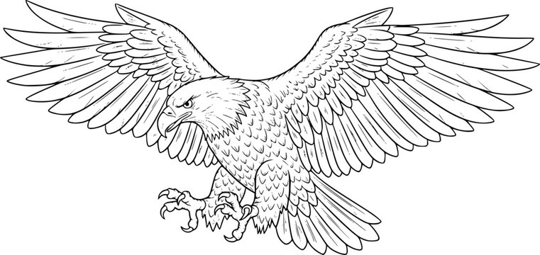 Eagle drawing. This black and white outline depicts a majestic eagle with its wings spread wide, capturing its powerful and predatory nature. Vector sketch line art draw.
