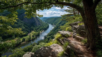 Delaware Water Gap - Serene Hiking Trail along River with Green Trees and Rocks