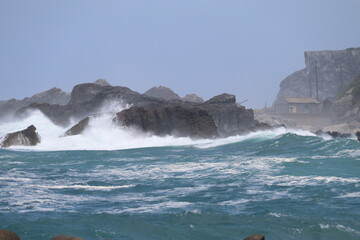 春の佐渡島。藻浦﨑公園。