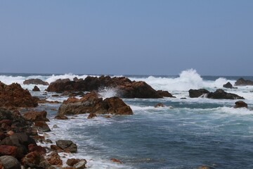 春の佐渡島。藻浦﨑公園。