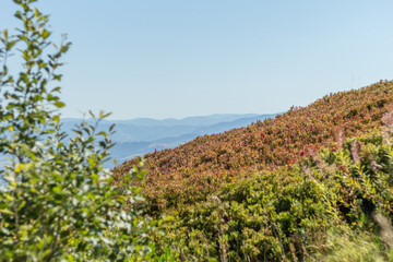 Clear Horizon over Borzhava Valley in Early Autumn
