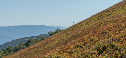 Clear Horizon over Borzhava Valley in Early Autumn