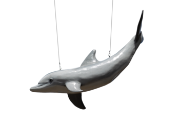 Close up of the dolphin sculpture showing head and fin, smooth painted surface with light reflections, metal hooks and wire suspension. Transparent background, PNG