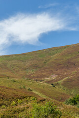 Clear Horizon over Borzhava Valley in Early Autumn
