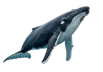 Isolated Humpback Whale Swimming Ocean Wildlife Underwater Blue Sea Creature Animal, no people