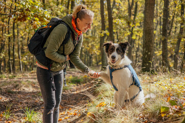 Photographer and hiker woman enjoying walking her dog off-leash in an autumn forest. 