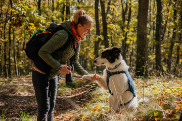 Photographer and hiker woman enjoying walking her dog off-leash in an autumn forest. 