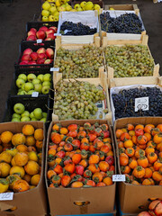 Fresh fruit market with colorful local produce in wooden crates