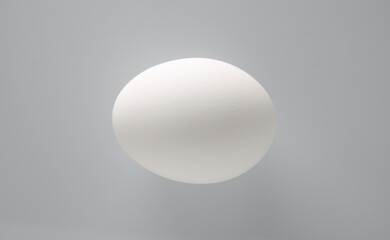 Minimalist White Egg Against Soft Gray Background