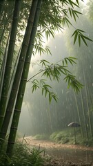 bamboo forest in the morning