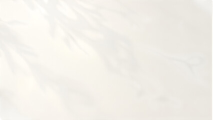 Naklejka premium Gentle Foliage Shadows: A soft, ethereal scene where the delicate silhouettes of leaves dance on a creamy, minimalist backdrop, creating a serene and captivating display of light and shadow.