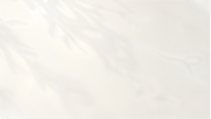 Gentle Foliage Shadows: A soft, ethereal scene where the delicate silhouettes of leaves dance on a creamy, minimalist backdrop, creating a serene and captivating display of light and shadow.