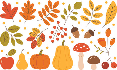 Autumn seasonal elements collection with colorful leaves, pumpkins, mushrooms, acorns, berries, and fruits representing fall nature and harvest design.