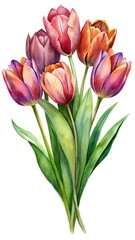 Naklejka premium Watercolor Bouquet of Tulips in Shades of Pink, Purple and Orange
