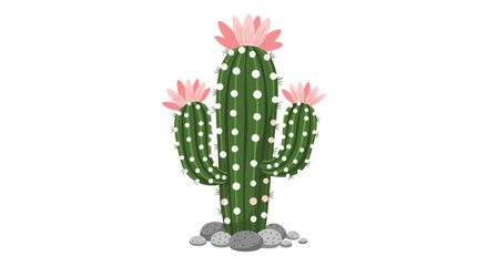 A tall green cactus with three pink flowers on top.