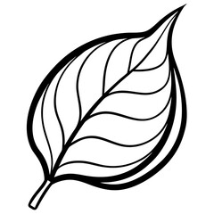 Bale leaf silhouette on white background