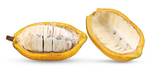 Cocoa fruit  isolated on transparent png ( image from camera )