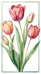 Elegant Watercolor Painting of Tulips Framed with a Light Green Border