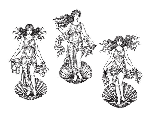 Aphrodite Standing on Seashell Vintage Engraved Mythology Illustration Vector