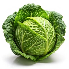 Fototapeta premium Fresh Green Savoy Cabbage Head on White Background