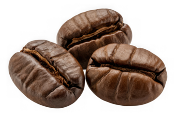 Macro photograph three coffee beans with detailed texture and color variation